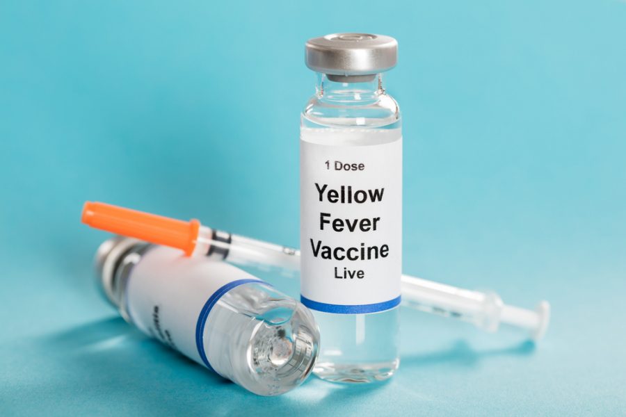 what-is-yellow-fever-vaccine-voyage-medical