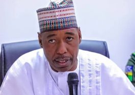 Insecurity: It is my responsibility to tell President Buhari the truth - Zulum