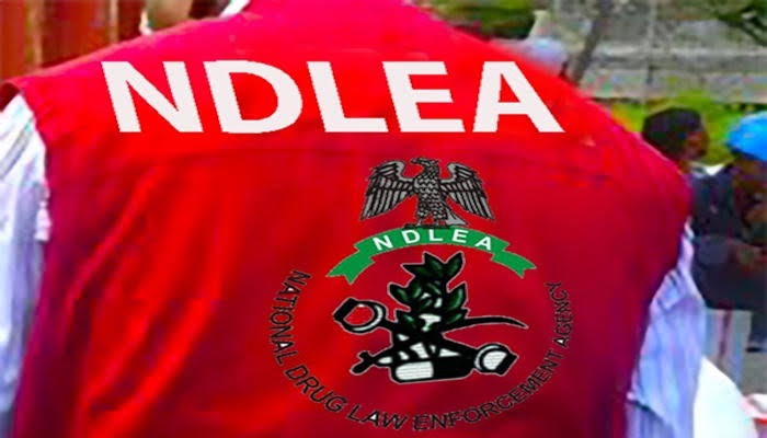 Fake Medicinal Cannabis Ring Busted: NDLEA Recovers Large Consignment, Nabs Suspect