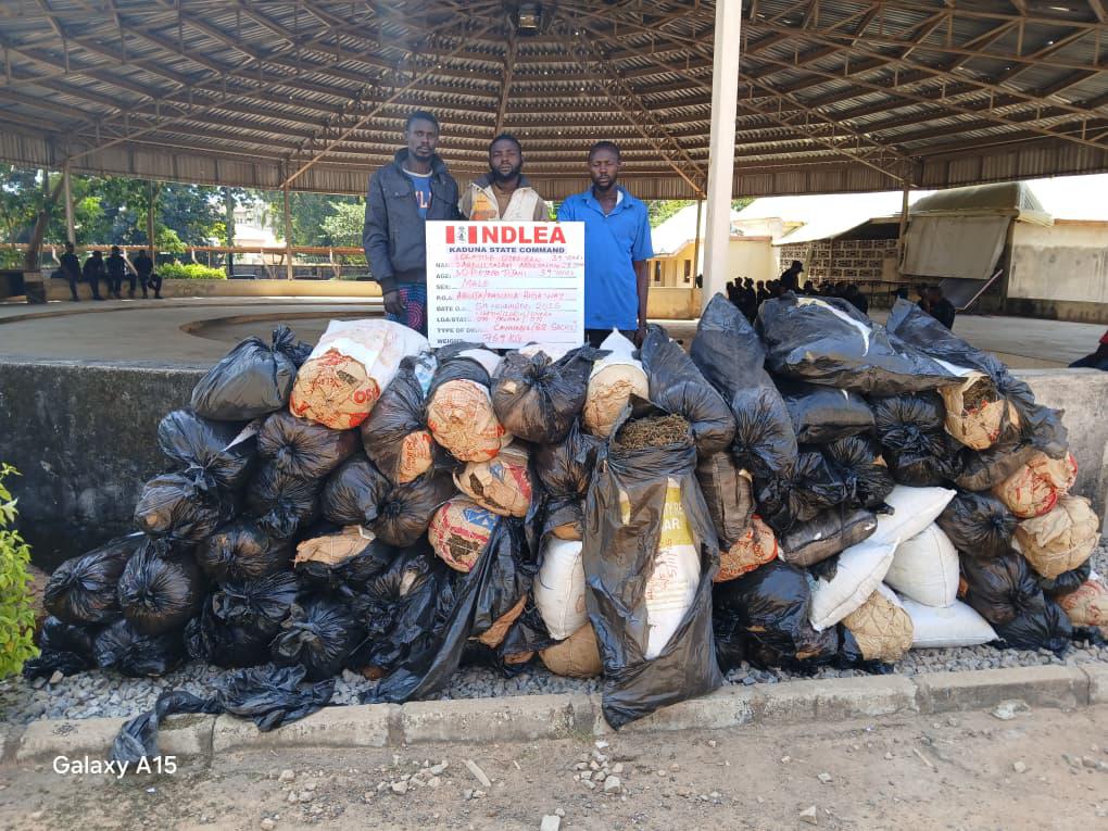 Wanted Drug Kingpin Nabbed at Lagos Airport, Secret ‘Colos’ Lab Busted