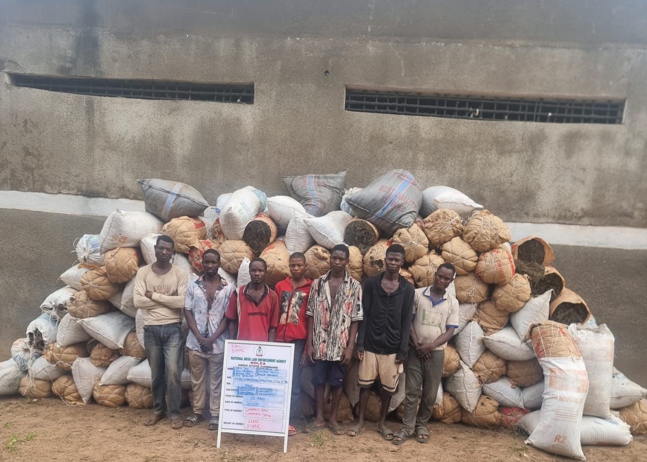 Lagos NDLEA Busts Drug Ring Using Christmas Cookies as Smuggling Ploy