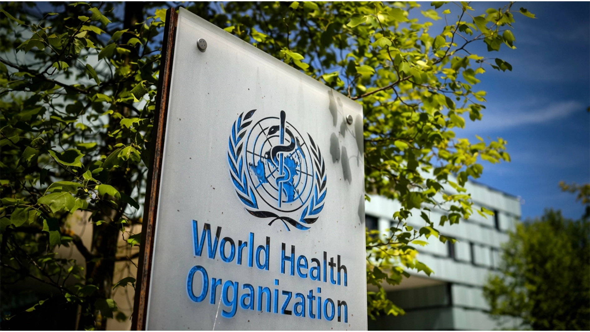WHO Confirms First Ebola Patient Recovery in DR Congo Outbreak
